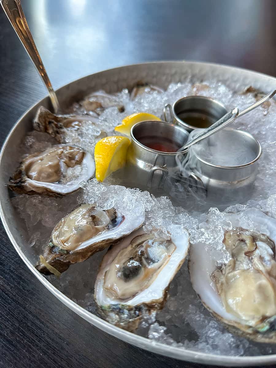 fresh oysters on half shell