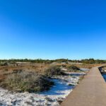 national seashore and boardwalk