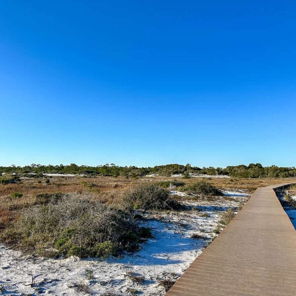 national seashore and boardwalk