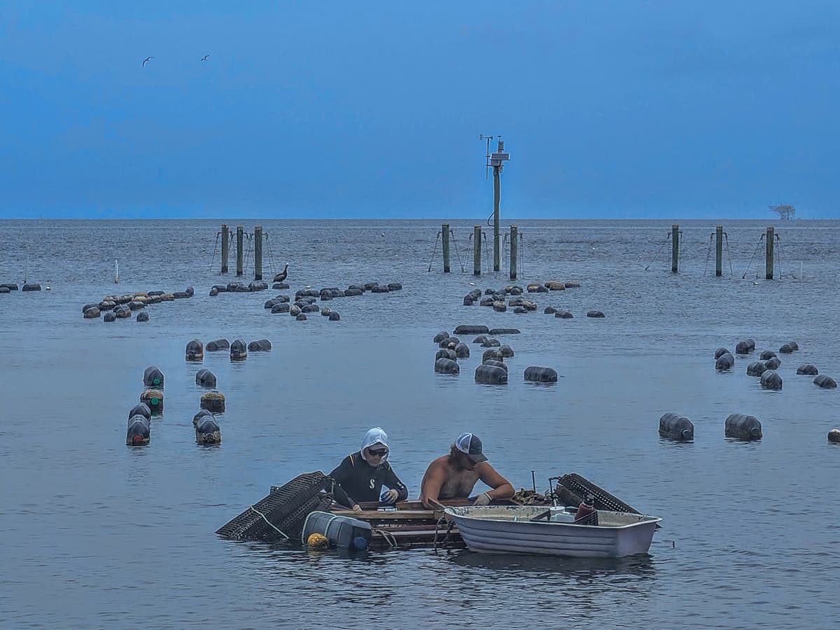 Admiral Seafood Company pickers