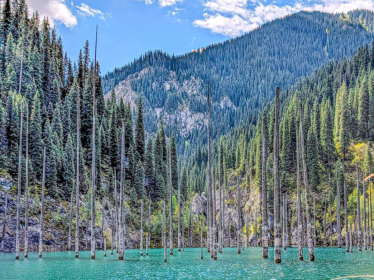 Kaindy Lake sunken forest