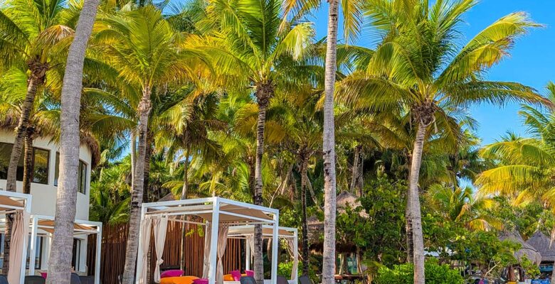 beach cabanas, palm beaches, and lush landscaping in Riviera Maya