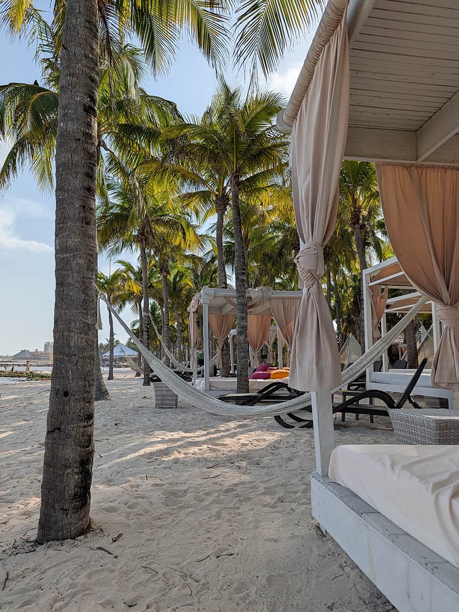 Sandos Caracol beach loungers and palm trees