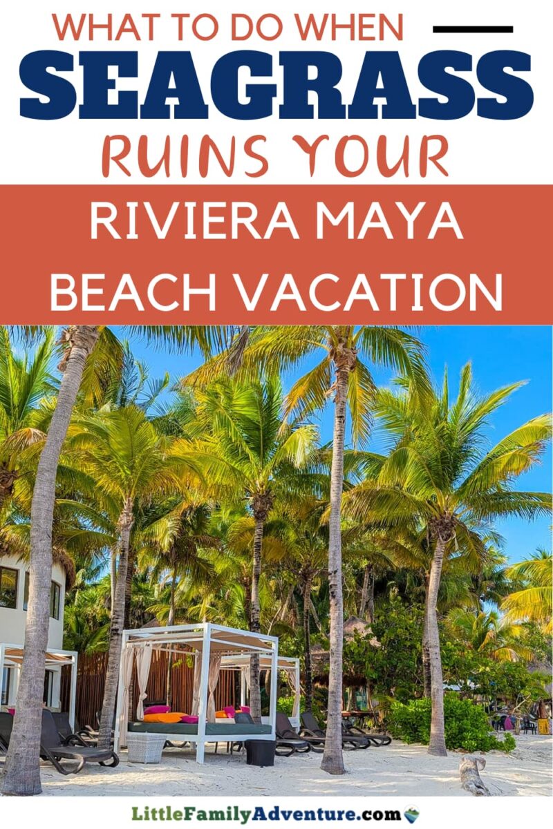 Quinta Roo beach cabanas nature resort
