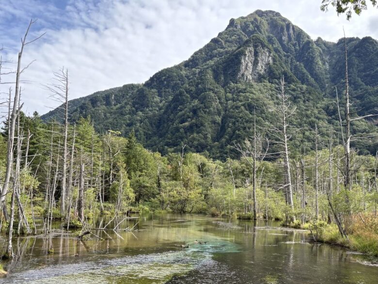 Japan Beyond Tokyo with Teens: Snow Monkeys, Matsumoto Castle and ...